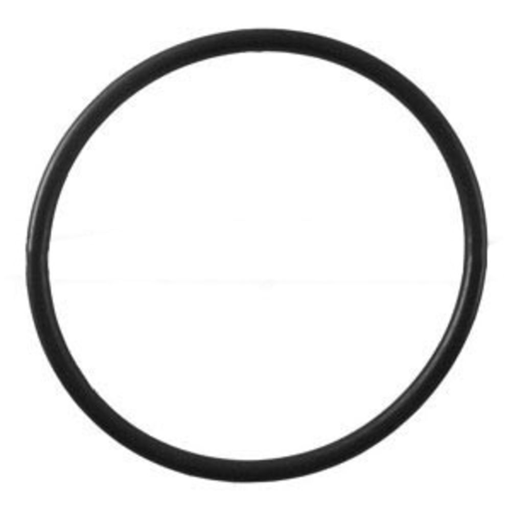 Pentair Water, Pentek 151120 Buna-N O-Ring for 3/4" FPT Standard Housings