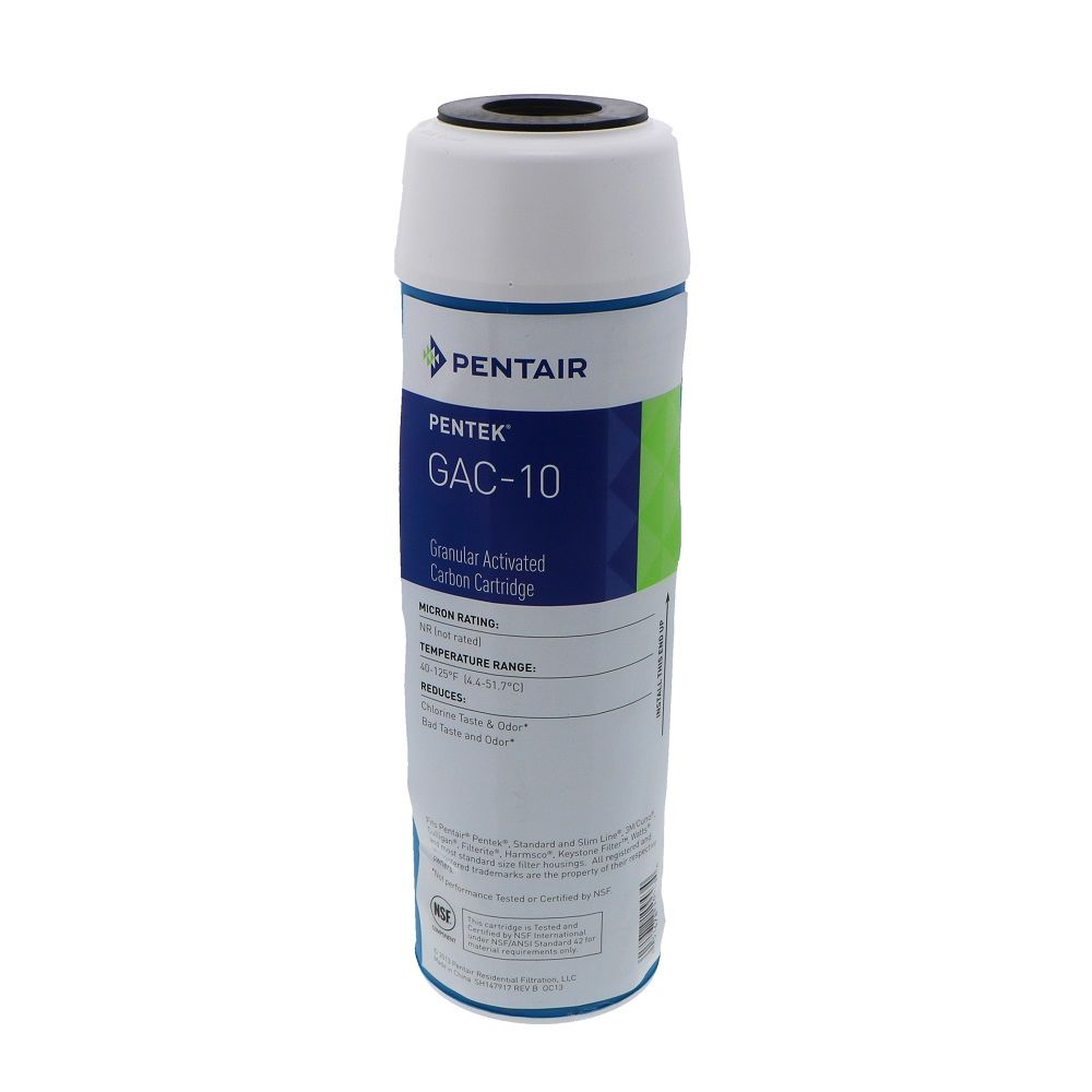 Pentair Water, Pentek 155109-43 GAC-10 Granular Activated Carbon Filter Compatible with Costguard CGT-10